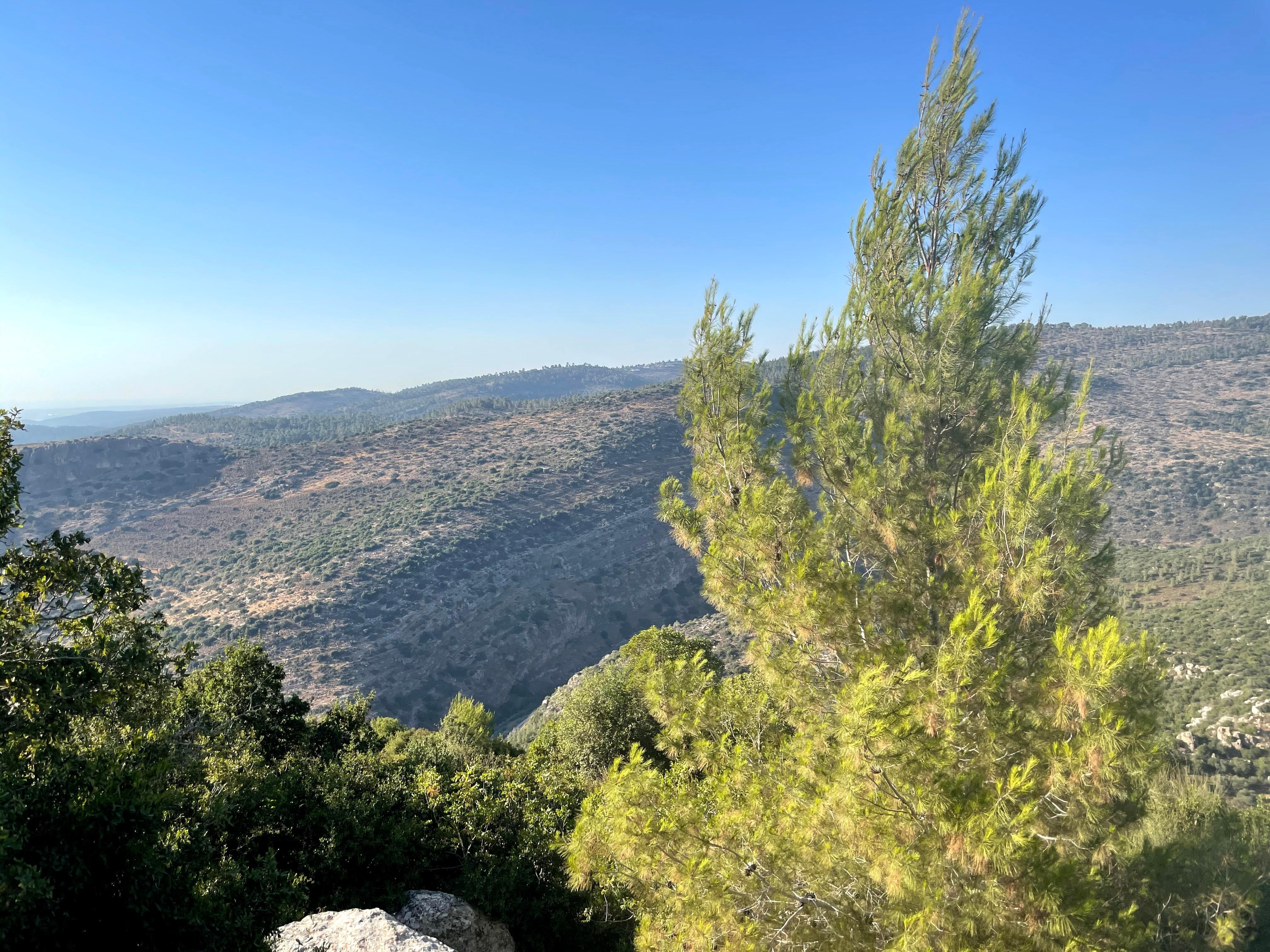 From Jerusalem to Beit Shemesh: A Traveler’s Hidden Gem