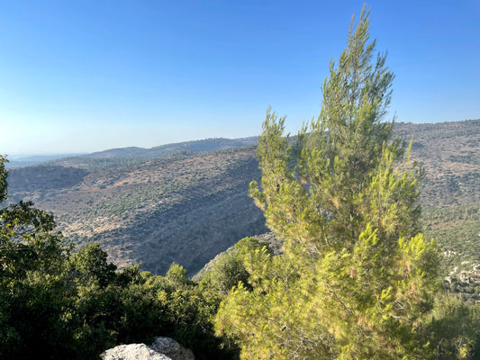 From Jerusalem to Beit Shemesh: A Traveler’s Hidden Gem