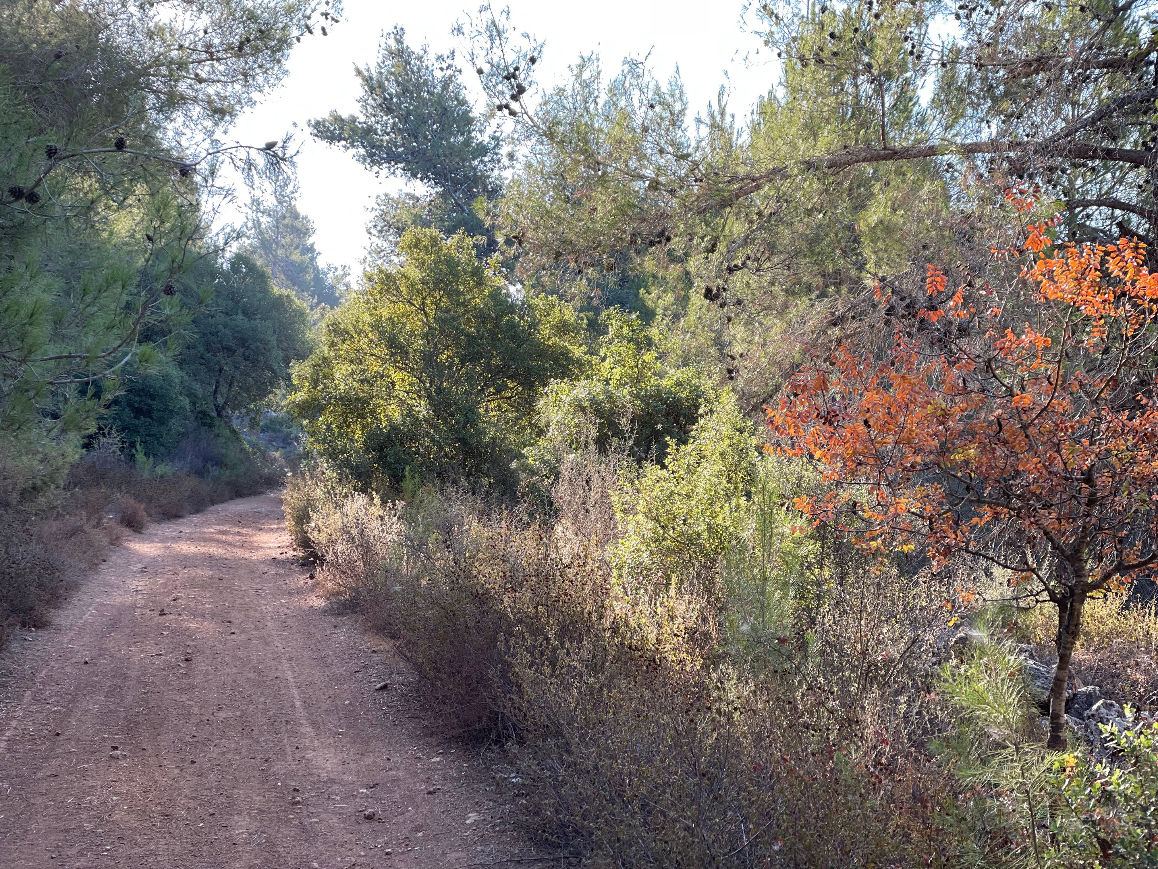 Top 5 Reasons to Visit Tavlin Distillery on Your Next Trip to Israel